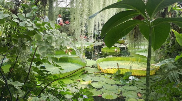 Botanické zahrady