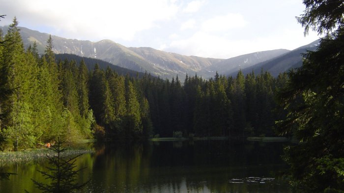 Vrbické pleso