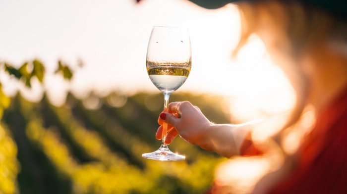 Kam za vínom a na vinobranie na Slovensku v roku 2025